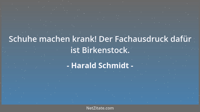 Harald Schmidt - Schuhe machen krank! Der Fachausdruck dafür ist Birkenstock....