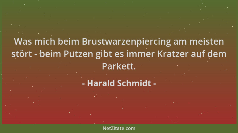 Harald Schmidt - Was mich beim Brustwarzenpiercing am meisten stört - beim Putzen gibt es immer Kratzer auf dem Parkett....