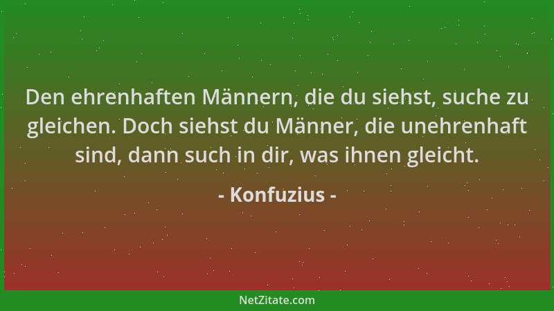 Konfuzius - Den ehrenhaften Männern, die du siehst, suche zu gleichen. Doch siehst du Männer, die unehrenhaft sind, dann su...