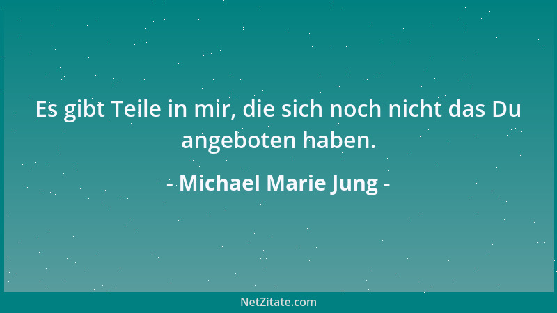 Michael Marie Jung - Was kommt nach der nächsten Krise? - Die nächste!...