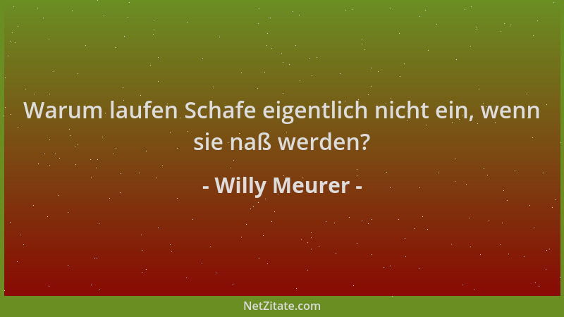 Willy Meurer - Warum laufen Schafe eigentlich nicht ein, wenn sie naß werden?...
