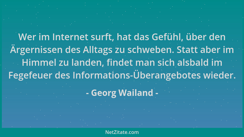 Georg Wailand - Wer im Internet surft, hat das Gefühl, über den Ärgernissen des Alltags zu schweben. Statt aber im Himmel z...