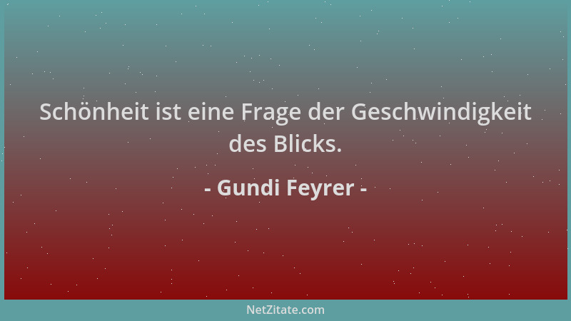 Gundi Feyrer - Schönheit ist eine Frage der Geschwindigkeit des Blicks....