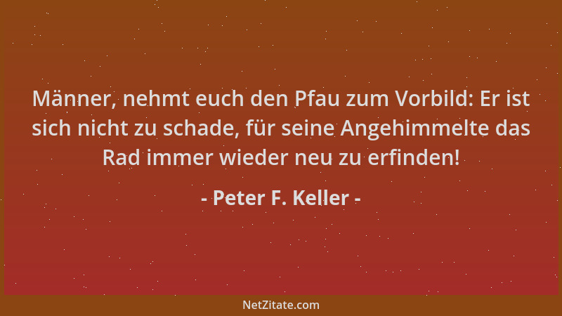 Peter F. Keller - Männer, nehmt euch den Pfau zum Vorbild: Er ist sich nicht zu schade, für seine Angehimmelte das Rad imme...