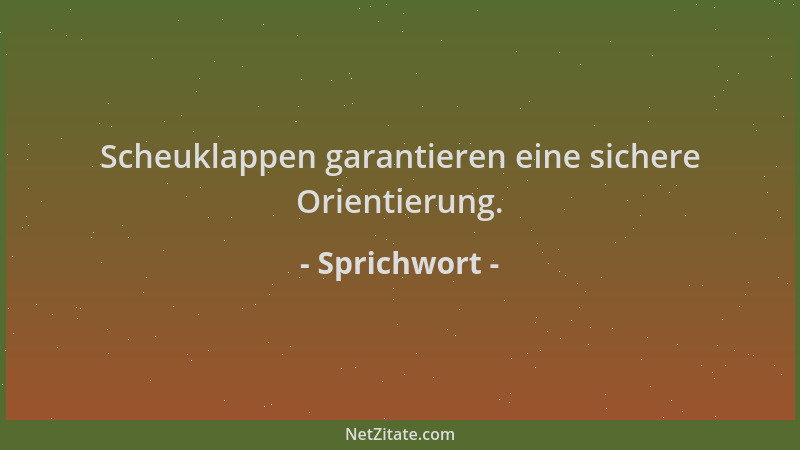 Sprichwort - Scheuklappen garantieren eine sichere Orientierung....