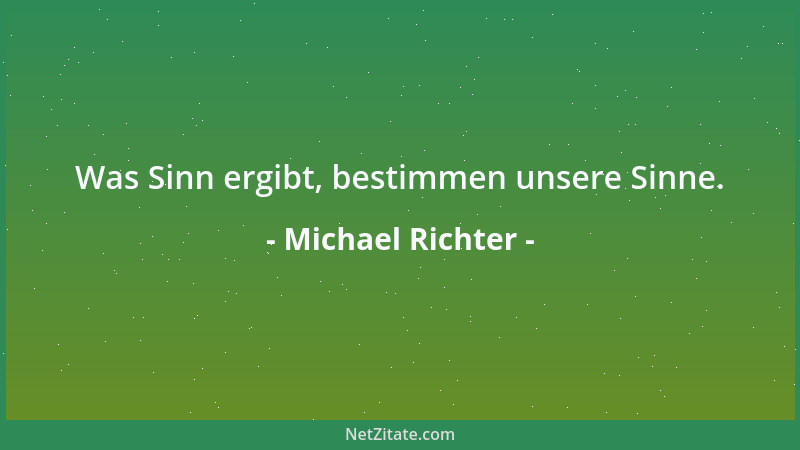 Michael Richter - Was Sinn ergibt, bestimmen unsere Sinne....