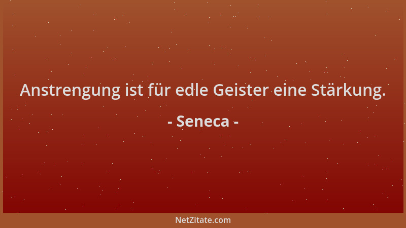 Seneca - Anstrengung ist für edle Geister eine Stärkung....