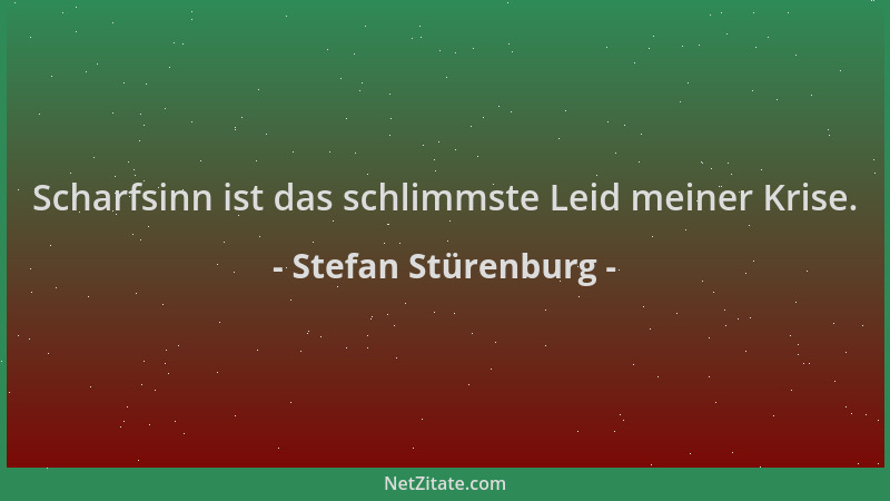 Stefan Stürenburg - Scharfsinn ist das schlimmste Leid meiner Krise....