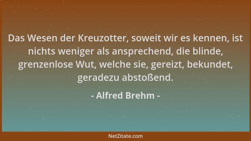 Alfred Brehm - Das Wesen der Kreuzotter, soweit wir es kennen, ist nichts weniger als ansprechend, die blinde, grenzenlose...