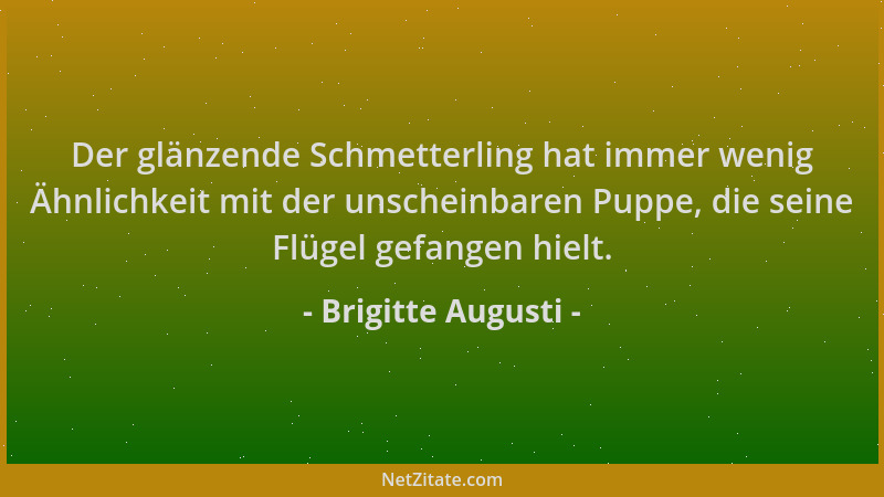 Brigitte Augusti - Der glänzende Schmetterling hat immer wenig Ähnlichkeit mit der unscheinbaren Puppe, die seine Flügel ge...