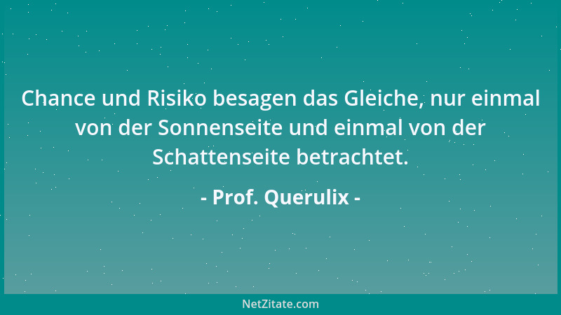 Prof. Querulix - Chance und Risiko besagen das Gleiche, nur einmal von der Sonnenseite und einmal von der Schattenseite bet...