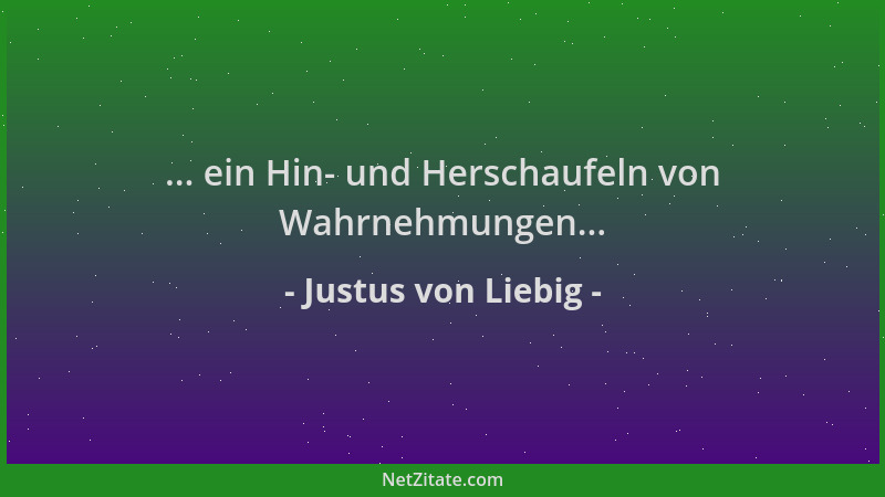 Justus von Liebig - ... ein Hin- und Herschaufeln von Wahrnehmungen......