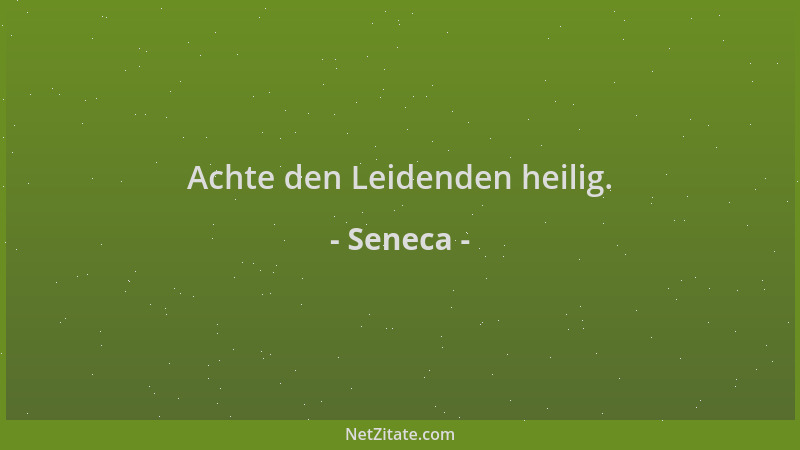 Seneca - Achte den Leidenden heilig....
