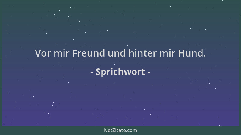 Sprichwort - Vor mir Freund und hinter mir Hund....