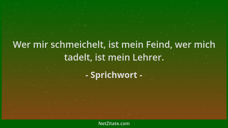 Sprichwort - Wer mir schmeichelt, ist mein Feind, wer mich tadelt, ist mein Lehrer....