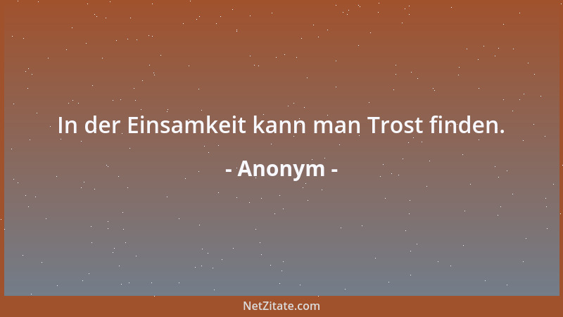 Anonym - In der Einsamkeit kann man Trost finden....