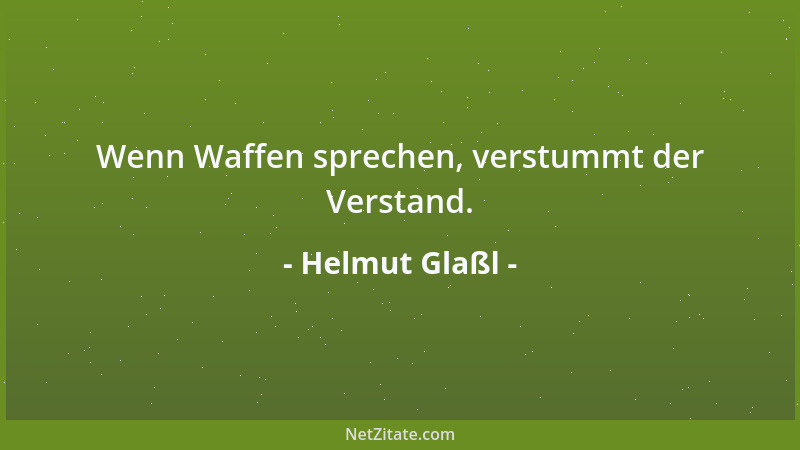 Helmut Glaßl - Wenn Waffen sprechen, verstummt der Verstand....