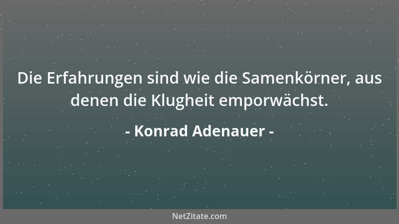 Konrad Adenauer - Die Erfahrungen sind wie die Samenkörner, aus denen die Klugheit emporwächst....