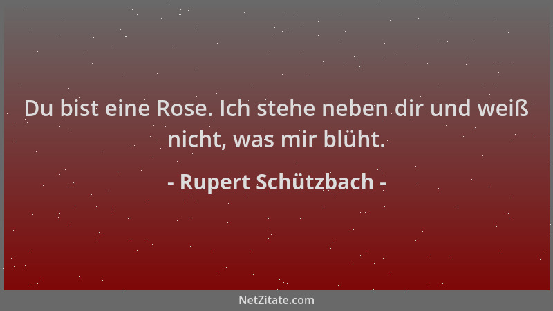 Rupert Schützbach - Du bist eine Rose. Ich stehe neben dir und weiß nicht, was mir blüht....