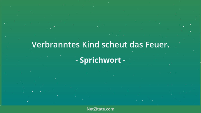 Sprichwort - Der Schaft eines Pfeils mag noch so gerade sein: Ohne Feder und Kerbe ist er zum Schießen nicht zu gebrauchen....