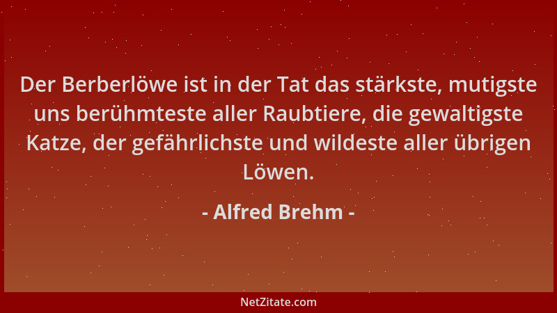 Alfred Brehm - Der Berberlöwe ist in der Tat das stärkste, mutigste uns berühmteste aller Raubtiere, die gewaltigste Katze,...
