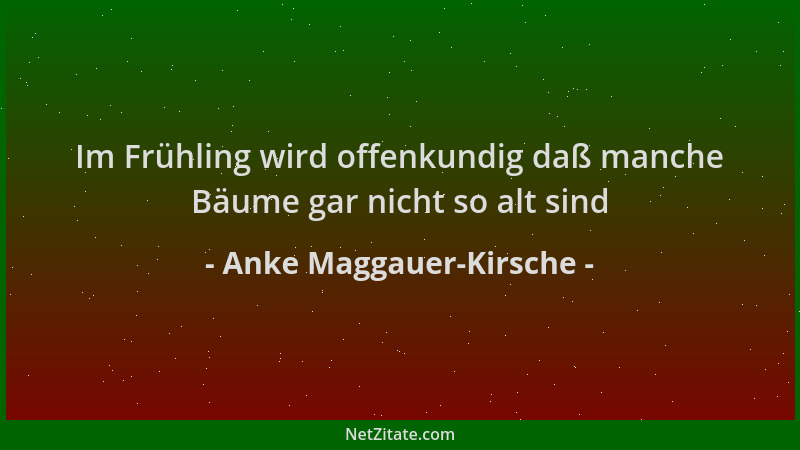 Anke Maggauer-Kirsche - Im Frühling wird offenkundig daß manche Bäume gar nicht so alt sind...