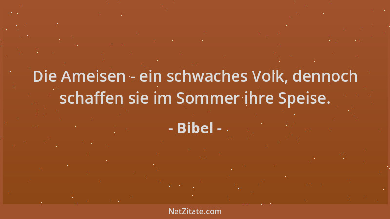 Bibel - Die Ameisen - ein schwaches Volk, dennoch schaffen sie im Sommer ihre Speise....