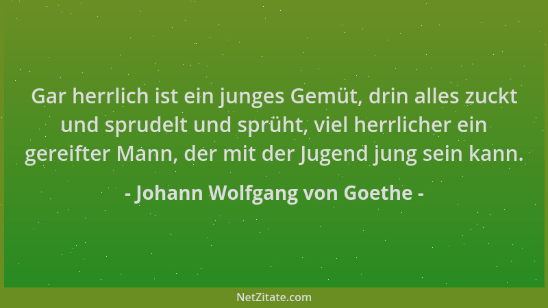 Johann Wolfgang von Goethe - Gar herrlich ist ein junges Gemüt, drin alles zuckt und sprudelt und sprüht, viel herrlicher e...