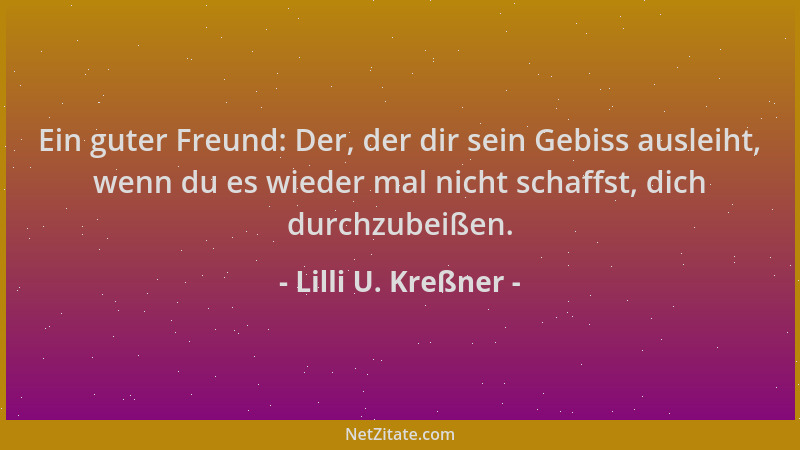 Lilli U. Kreßner - Ein guter Freund: Der, der dir sein Gebiss ausleiht, wenn du es wieder mal nicht schaffst, dich durchzub...