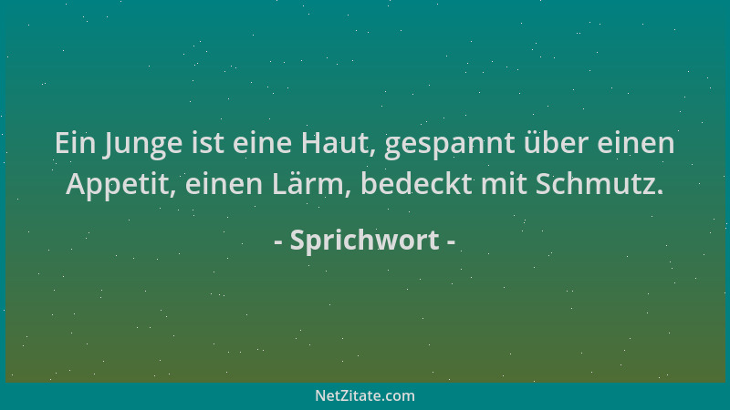 Sprichwort - Ein Junge ist eine Haut, gespannt über einen Appetit, einen Lärm, bedeckt mit Schmutz....