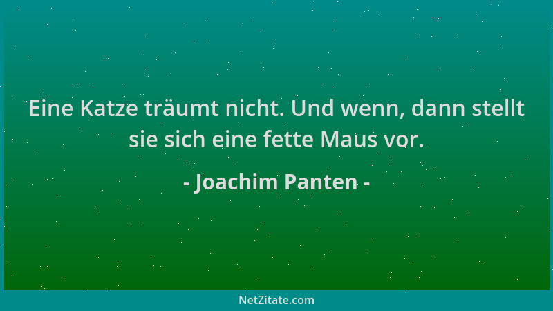 Joachim Panten - Eine Katze träumt nicht. Und wenn, dann stellt sie sich eine fette Maus vor....