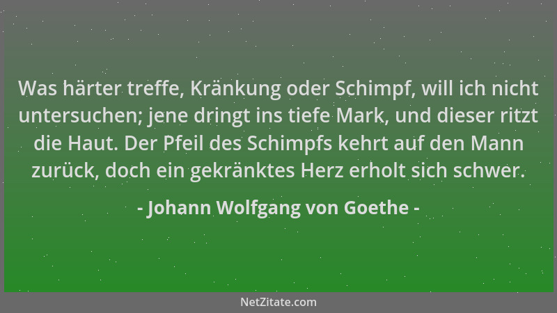Johann Wolfgang von Goethe - Was härter treffe, Kränkung oder Schimpf, will ich nicht untersuchen; jene dringt ins tiefe Ma...