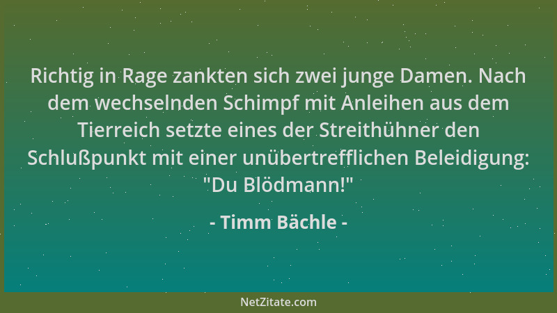 Timm Bächle - Richtig in Rage zankten sich zwei junge Damen. Nach dem wechselnden Schimpf mit Anleihen aus dem Tierreich se...
