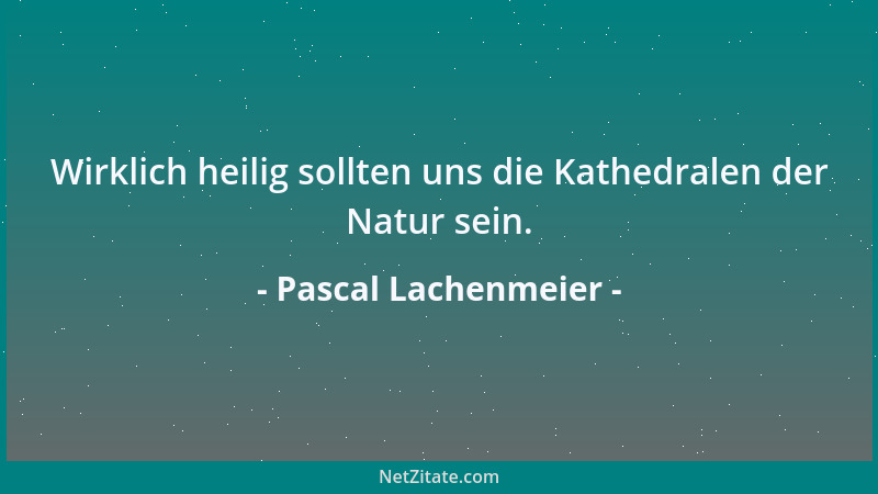 Pascal Lachenmeier - Bei fast 200 Ländern auf der Welt, ist die Chance enorm groß, Ausländer zu sein....