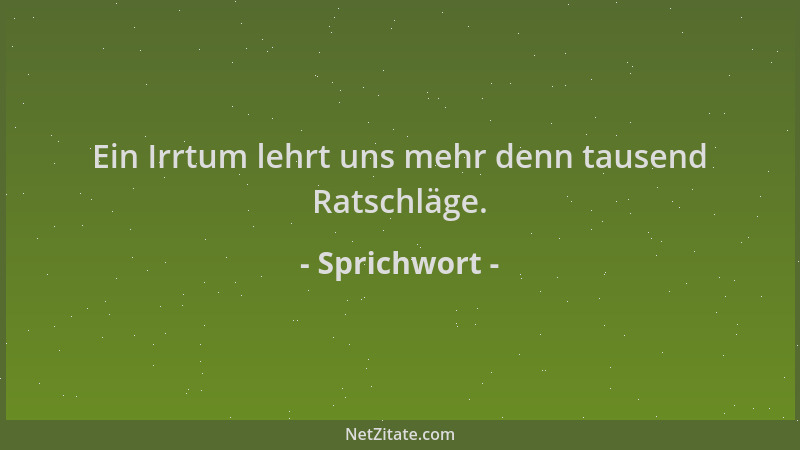 Sprichwort - Ein Irrtum lehrt uns mehr denn tausend Ratschläge....