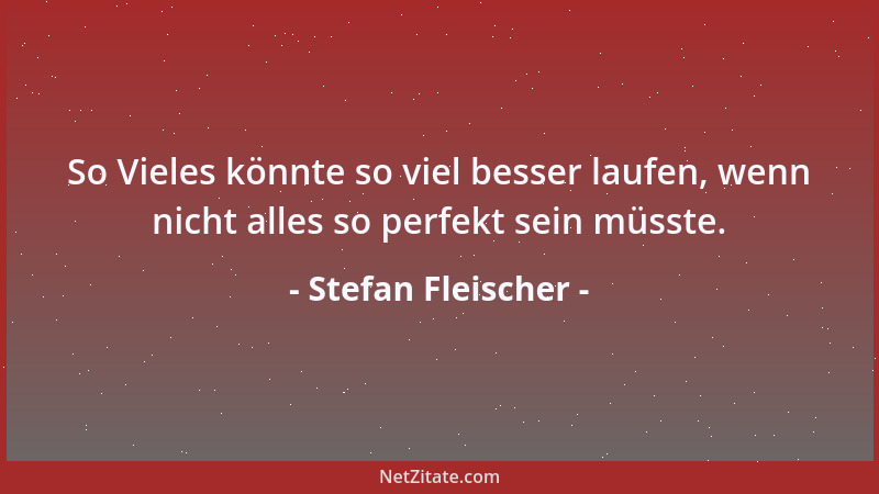 Stefan Fleischer - So Vieles könnte so viel besser laufen, wenn nicht alles so perfekt sein müsste....