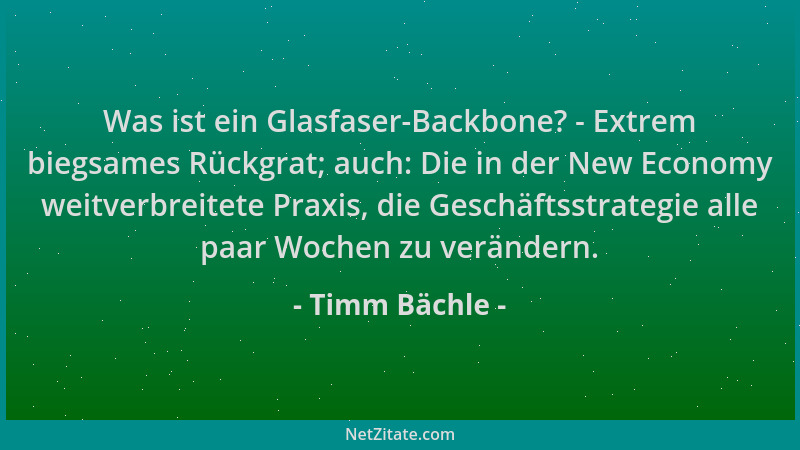 Timm Bächle - Was ist ein Glasfaser-Backbone? - Extrem biegsames Rückgrat; auch: Die in der New Economy weitverbreitete Pra...