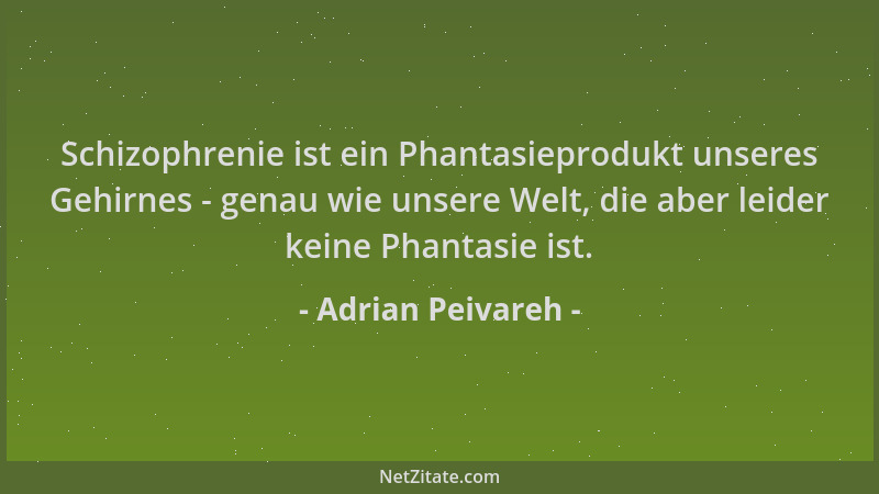 Adrian Peivareh - Schizophrenie ist ein Phantasieprodukt unseres Gehirnes - genau wie unsere Welt, die aber leider keine Ph...