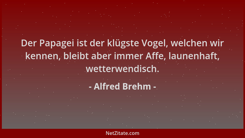 Alfred Brehm - Der Papagei ist der klügste Vogel, welchen wir kennen, bleibt aber immer Affe, launenhaft, wetterwendisch....