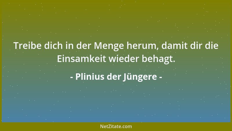 Plinius der Jüngere - Vieles, nicht vielerlei (soll man lesen)....