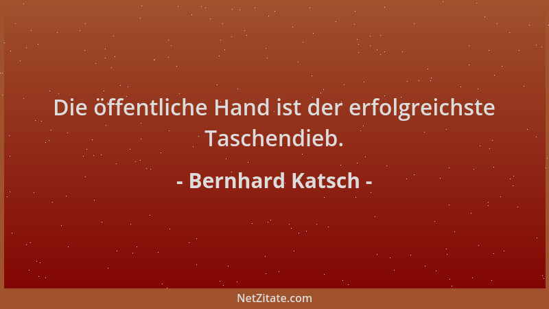 Bernhard Katsch - Die öffentliche Hand ist der erfolgreichste Taschendieb....