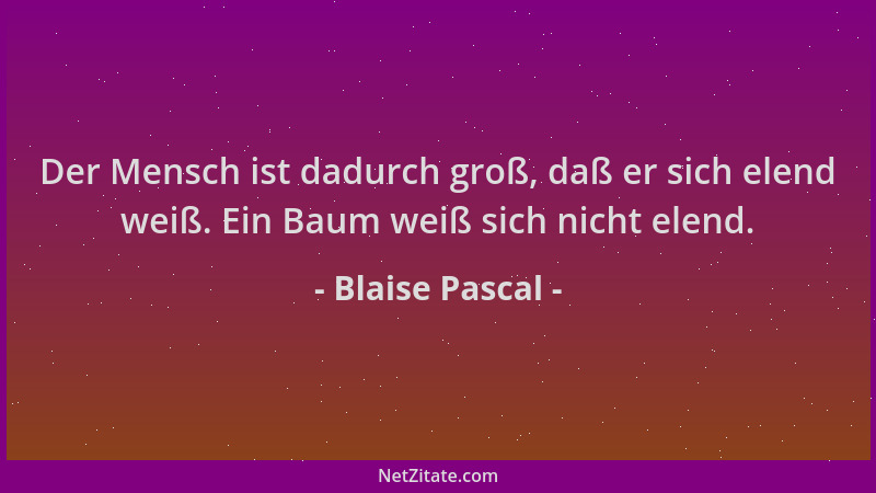 Blaise Pascal - Der Mensch ist dadurch groß, daß er sich elend weiß. Ein Baum weiß sich nicht elend....