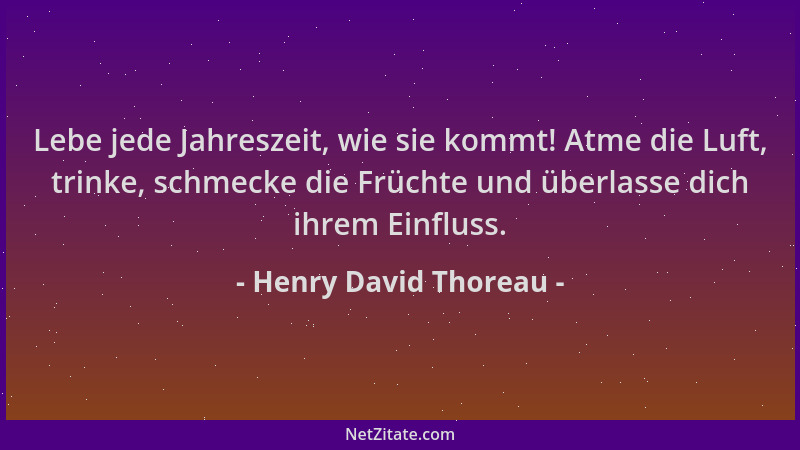 Henry David Thoreau - Lebe jede Jahreszeit, wie sie kommt! Atme die Luft, trinke, schmecke die Früchte und überlasse dich i...