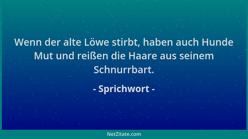 Sprichwort - Wenn der alte Löwe stirbt, haben auch Hunde Mut und reißen die Haare aus seinem Schnurrbart....