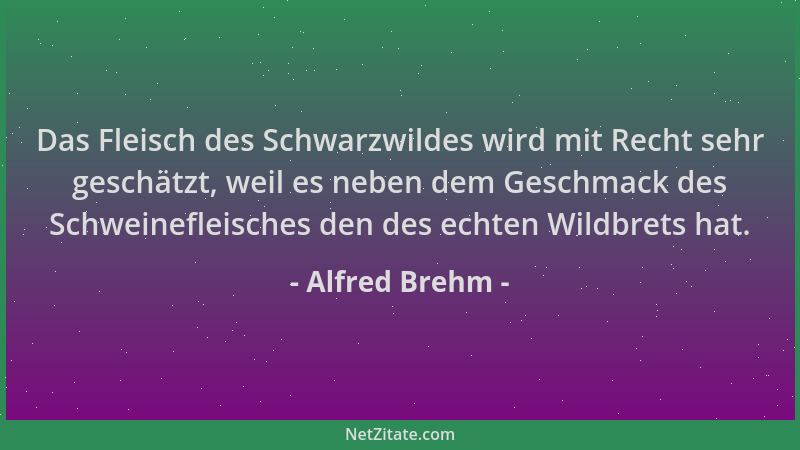 Alfred Brehm - Das Fleisch des Schwarzwildes wird mit Recht sehr geschätzt, weil es neben dem Geschmack des Schweinefleisch...