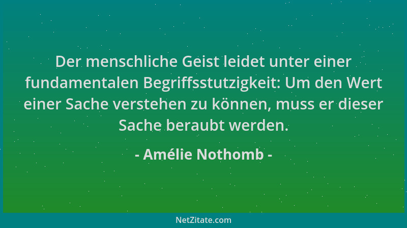 Amélie Nothomb - Der menschliche Geist leidet unter einer fundamentalen Begriffsstutzigkeit: Um den Wert einer Sache verste...