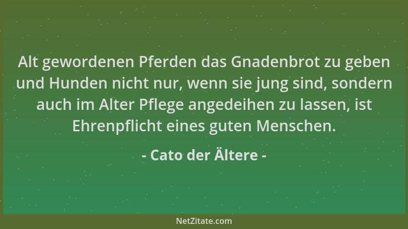 Cato der Ältere - Alt gewordenen Pferden das Gnadenbrot zu geben und Hunden nicht nur, wenn sie jung sind, sondern auch im...