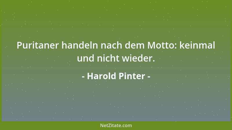 Harold Pinter - Puritaner handeln nach dem Motto: keinmal und nicht wieder....