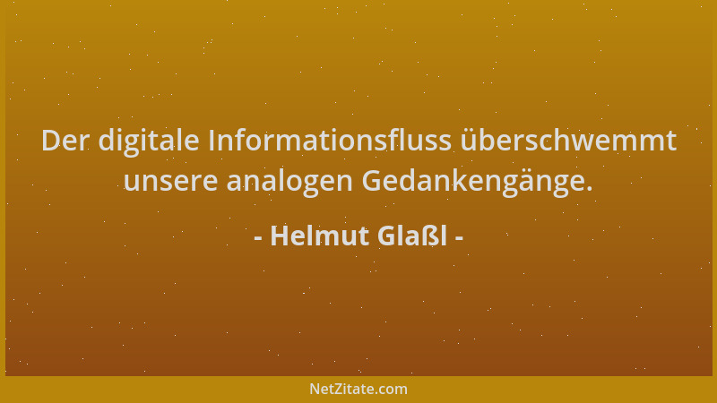 Helmut Glaßl - Der digitale Informationsfluss überschwemmt unsere analogen Gedankengänge....
