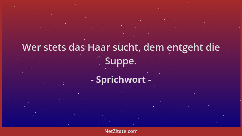 Sprichwort - Wer stets das Haar sucht, dem entgeht die Suppe....